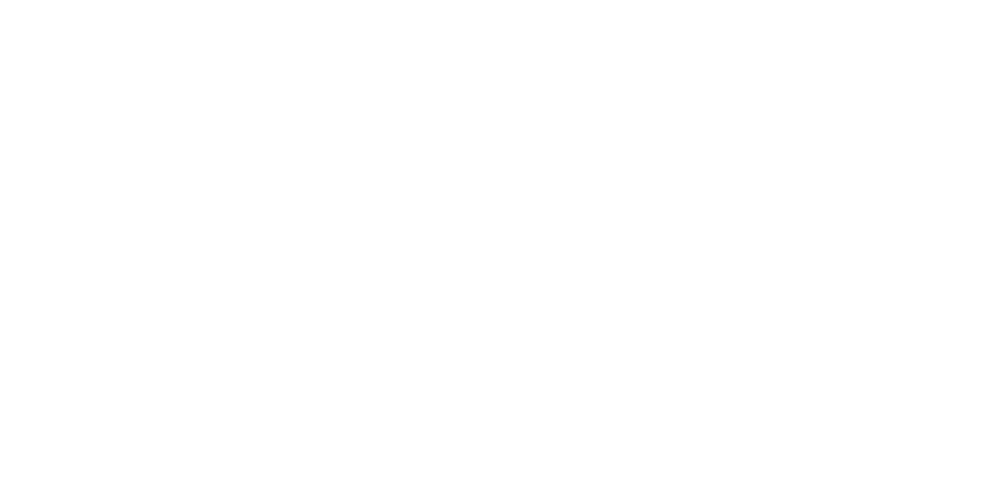 Official Stake logo